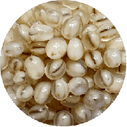 1655431291105092.jpg 2-11內(nèi)頁口味_22-爆爆珠-燕麥爆爆珠.jpg