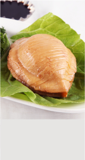 PLANT BASED INNOVATION